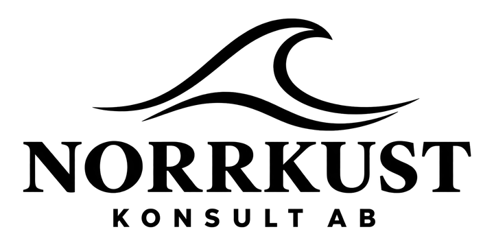 Norrkust Konsult